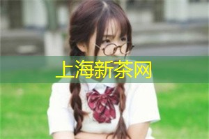 爱上海龙凤419：探索独特的建筑风格和传统艺术形式