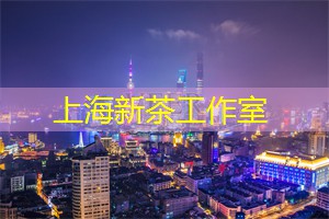 上海公司：尊享巨星私人定制的制霸之境，男神女神争相齐聚的殿堂