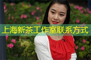 网络情