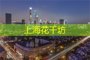 上海1200岁银杏树王，至今依旧枝繁叶茂，专门给它建了座公园