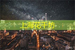 陷入财务困境 英国一知名主题公园运营40年后宣布关闭