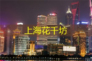 上海品茶网：夜幕降临，上海最璀璨的夜景汇总，带你领略不一样的夜上海！