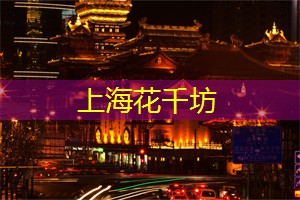 爱上海：佘山夜市：这个夜市位于上海郊区