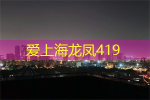 在上海捕捉生活的美好瞬间
